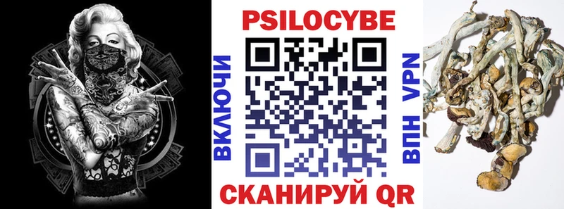 Псилоцибиновые грибы Magic Shrooms Купить где Елец