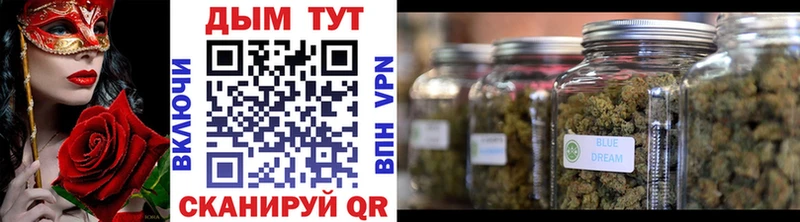 Каннабис планчик Елец